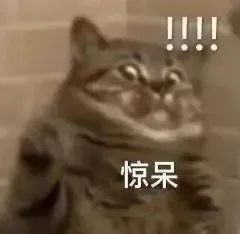 DƬ